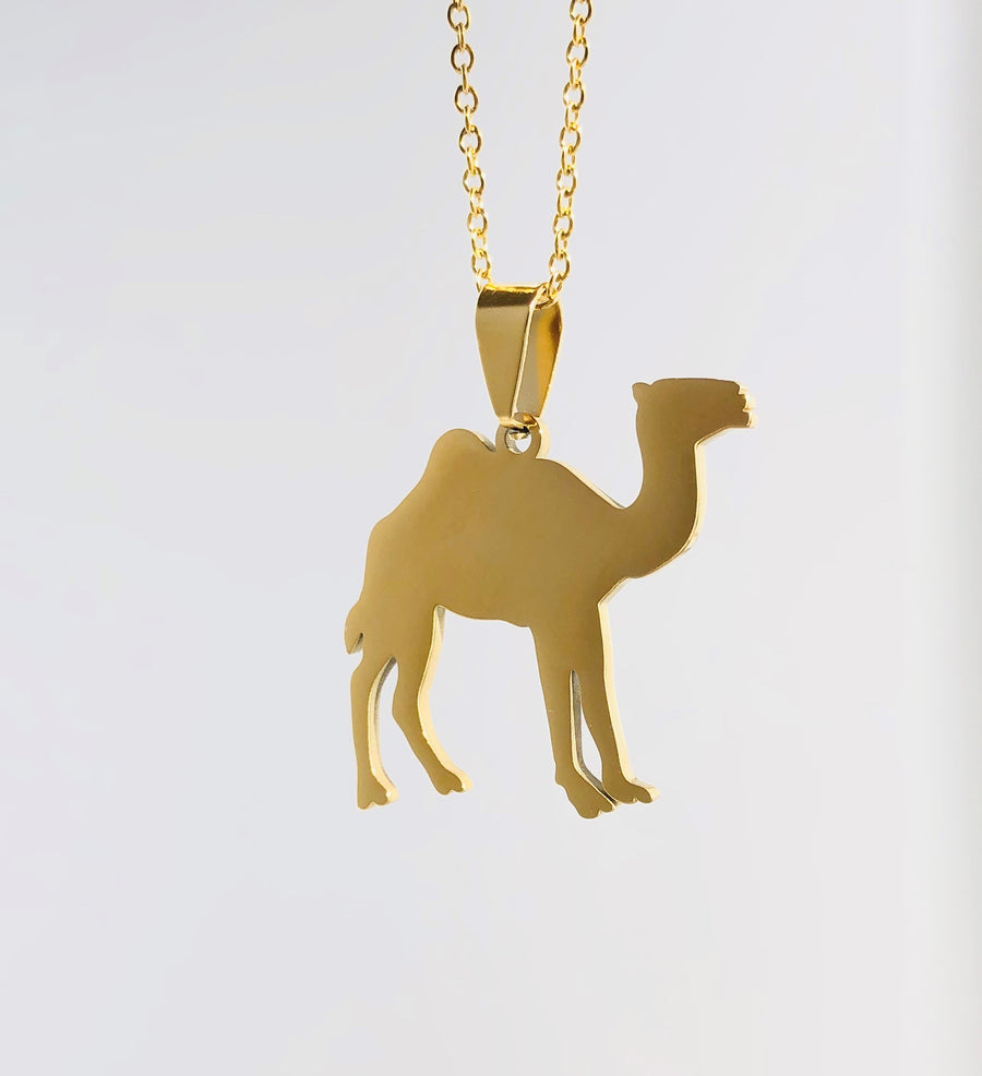 Camel | Guizo
